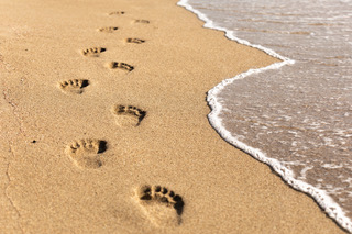 Füße am Strand_AdobeStock_210717969
